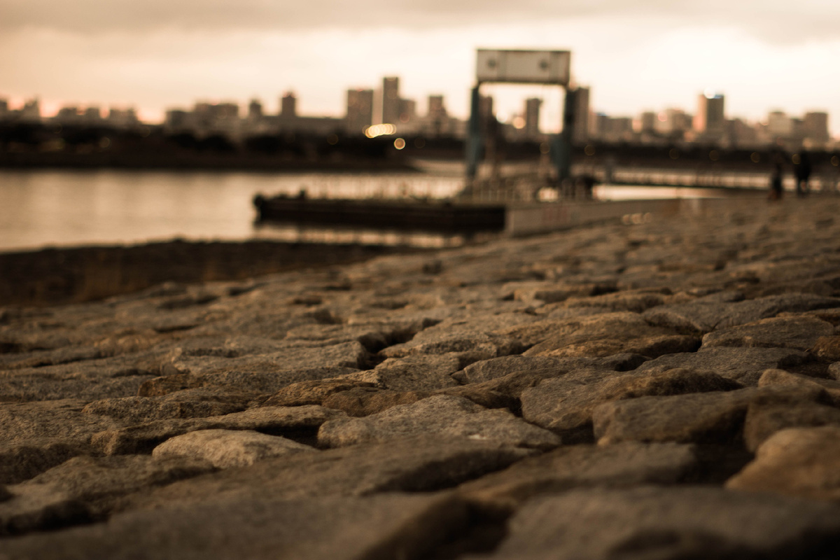 Photo courtesy of 西坂 真秀美, pixabay.com