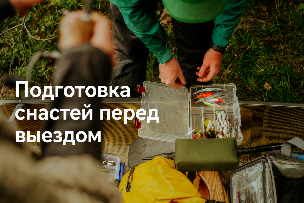 Изображение из открытых источников
