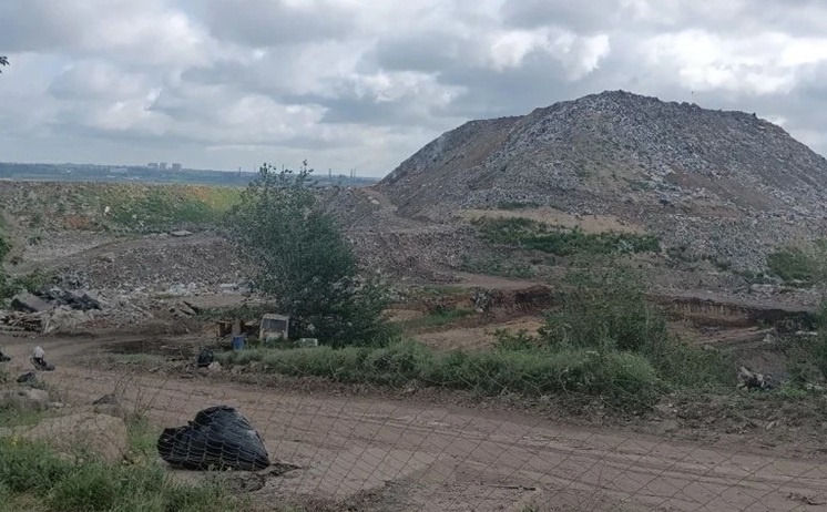    Фото канала Антонины Пшеничной в МАХ Редактор