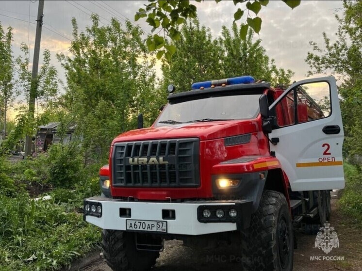     Фото: ГУ МЧС по Орловской области