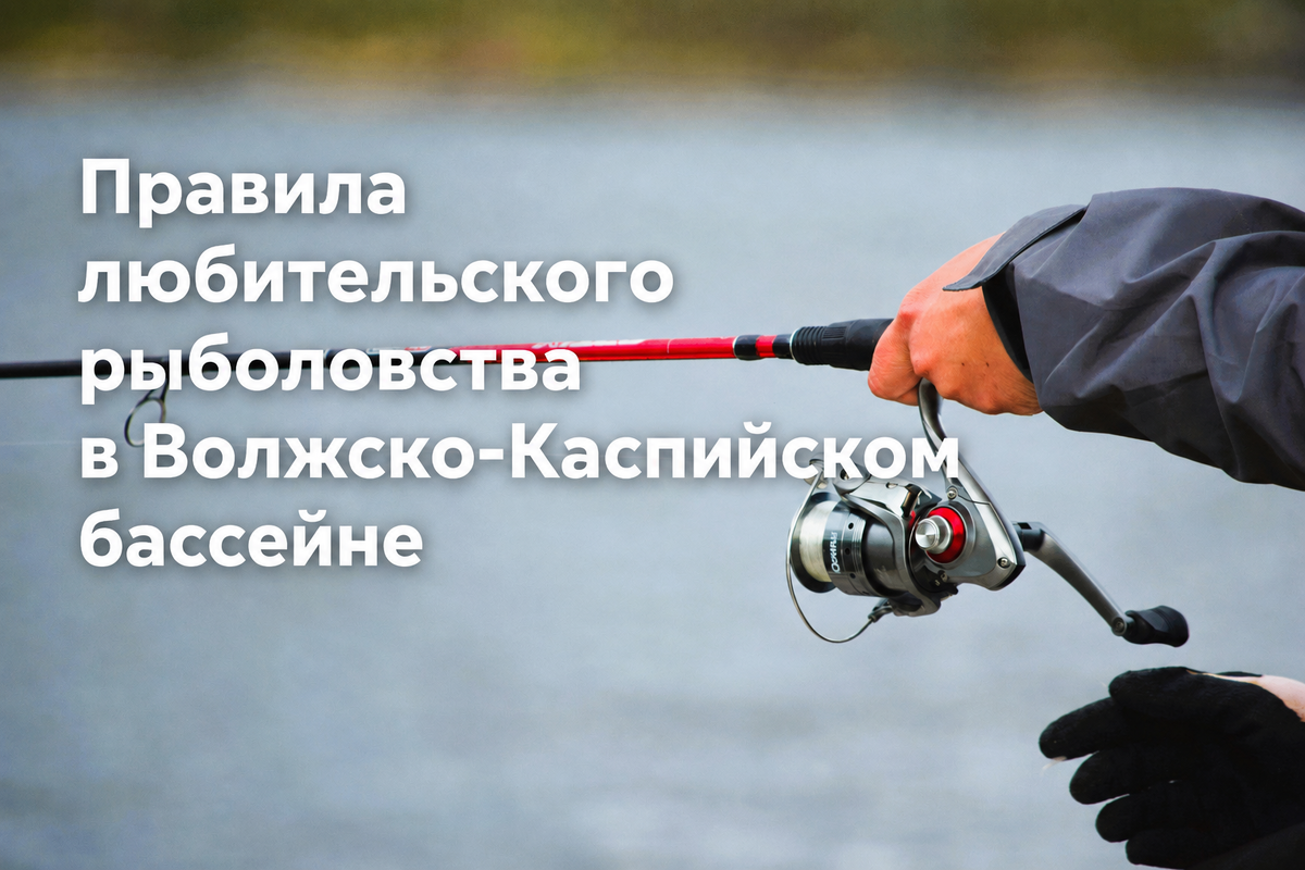 Изображение из открытых источников