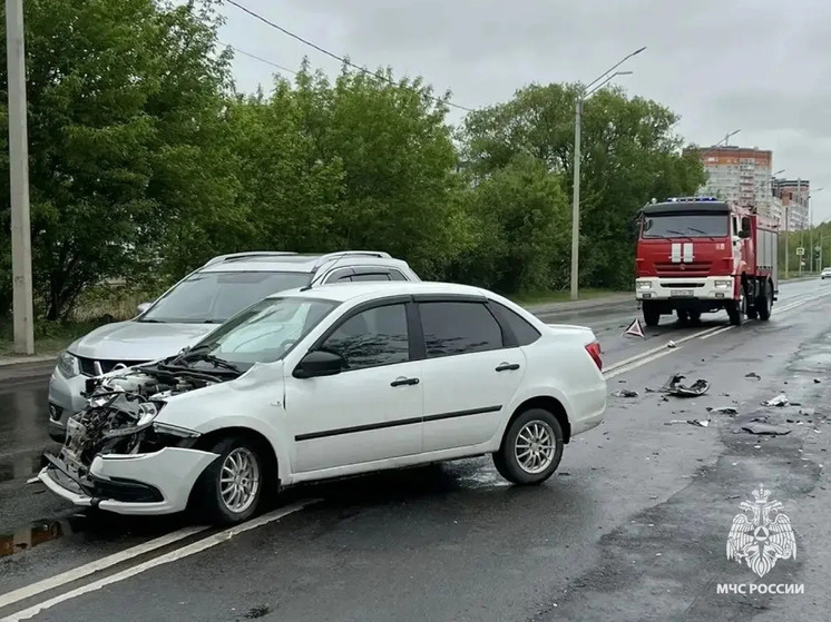     фото: пресс-служба мчс по брянской области