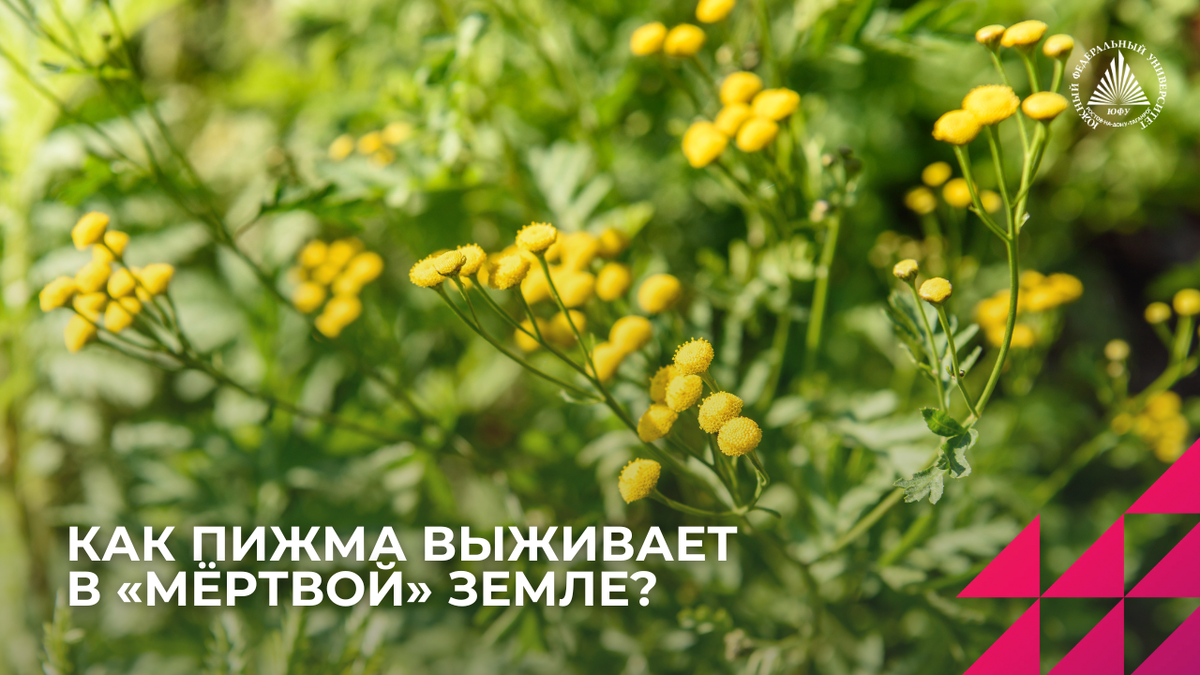 Источник: freepik.ru