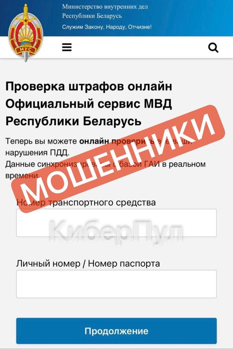    Фото: «Кибер Пул», Telegram