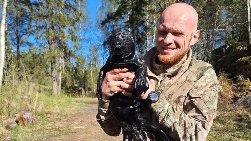    Фото: vk.com/sealrescue