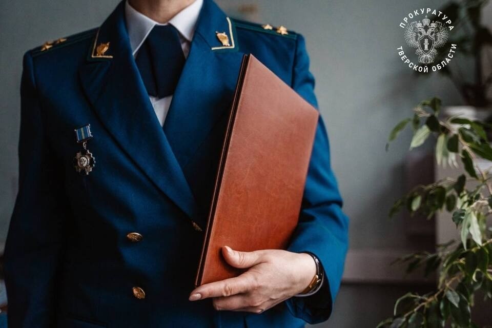    Сотрудники незаконно складировали древесину вдоль автодороги Молоково — Деледино. Фото: Прокуратура Тверской области.