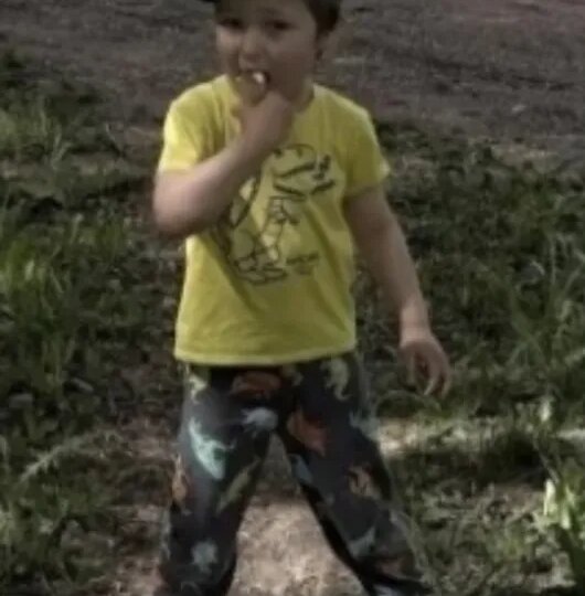 В Башкирии бесследно пропал 4-летний мальчик