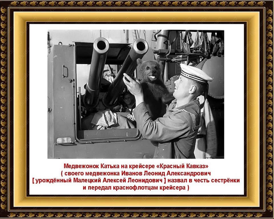 Рисунок в свободном доступе