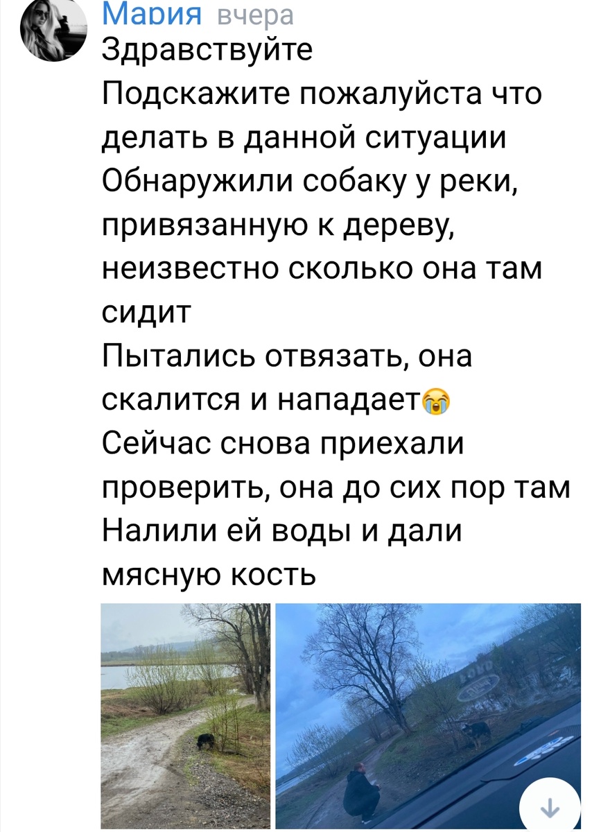 Сообщение в группе.