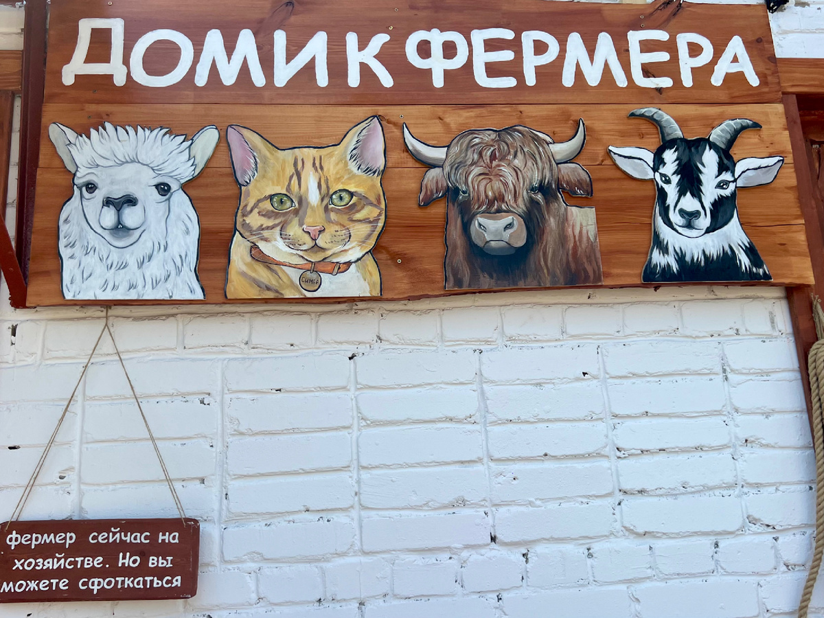 Пройдите мимо, поднимитесь по ступенькам и попадете к кассам
