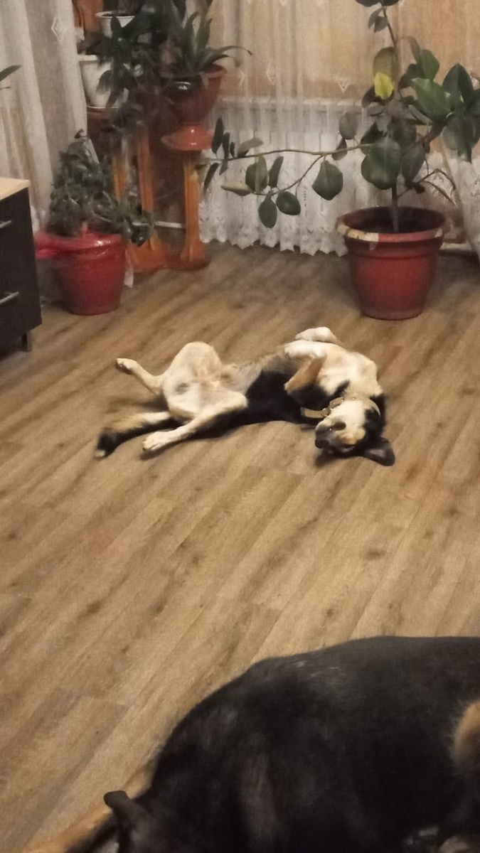 -2