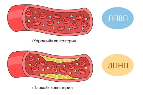 gazeta.ru