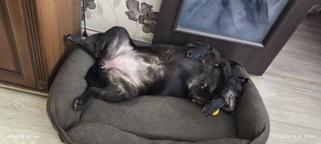 💤💤💤