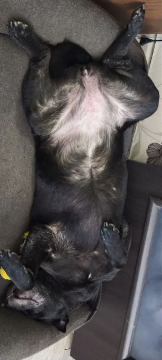 Продолжаю 💤😁