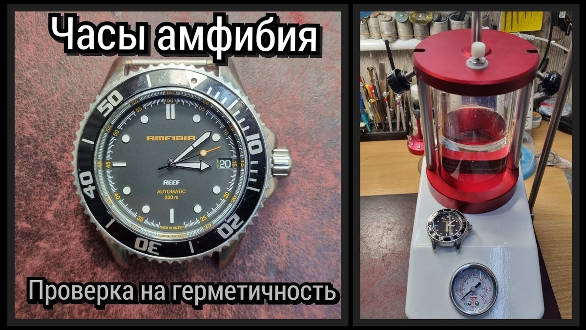 Фото взято с видеохостнга YouTube