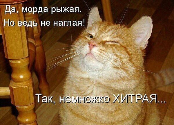 источник Яндекс-картинки