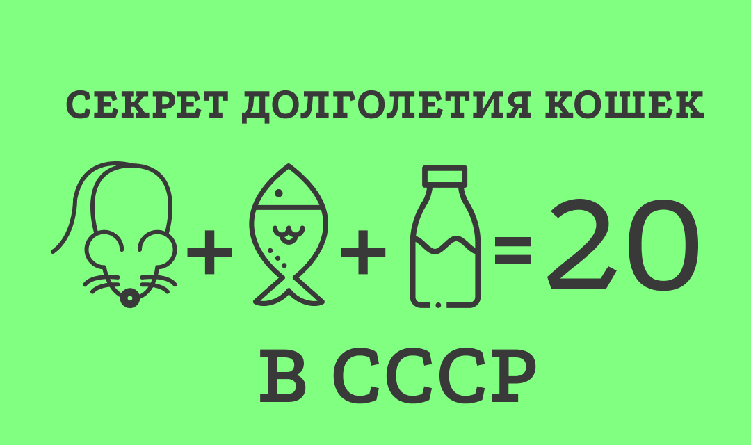 Ращгадываем шараду 