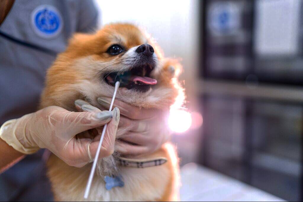 -2