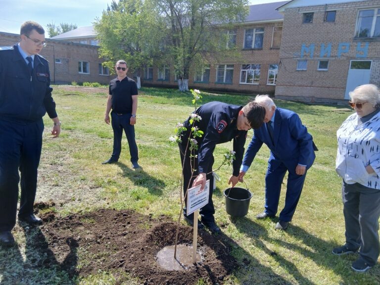    В Саракташском районе посадили аллею яблонь в память об участниках СВО Оренбуржье