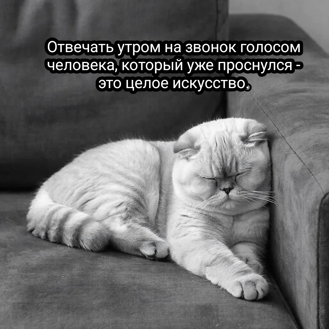иллюстрация автора