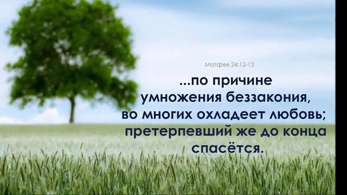 Яндекс