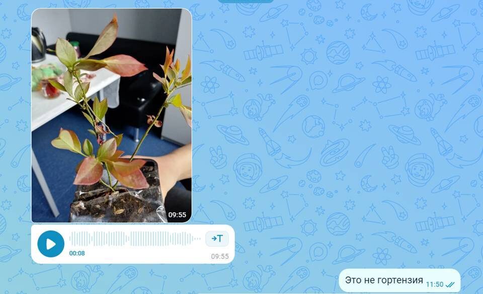 Скрин с max