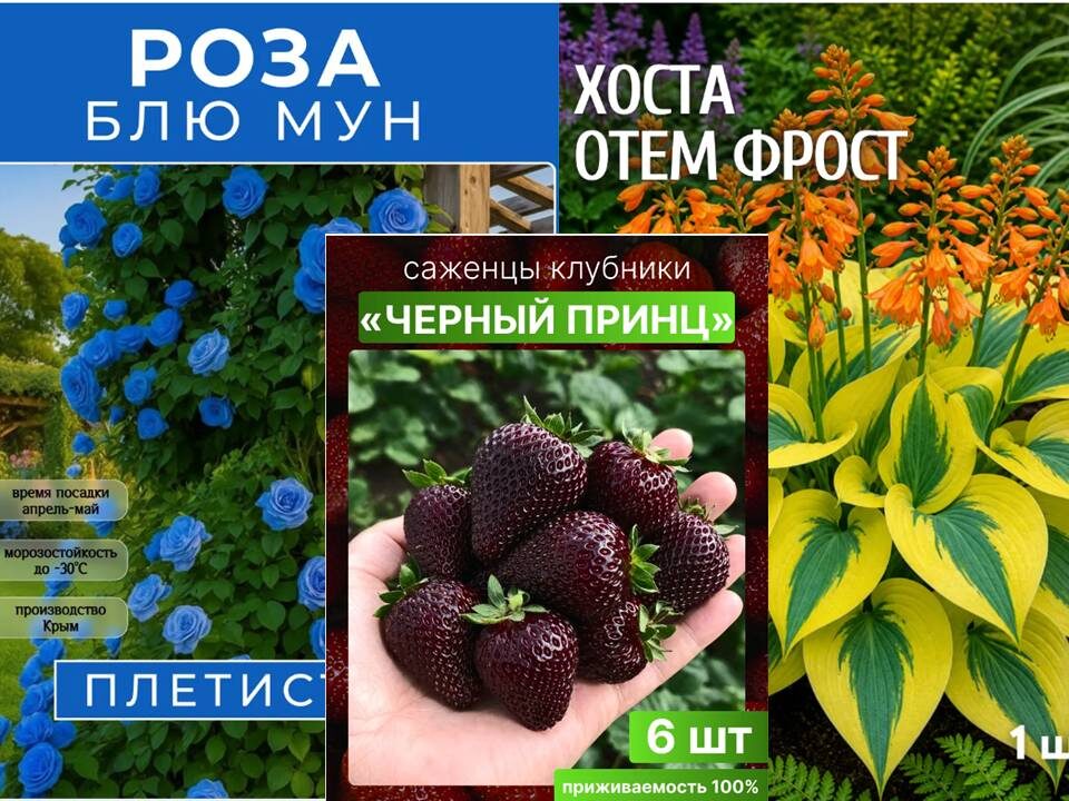 Этого в природе нет!!!
