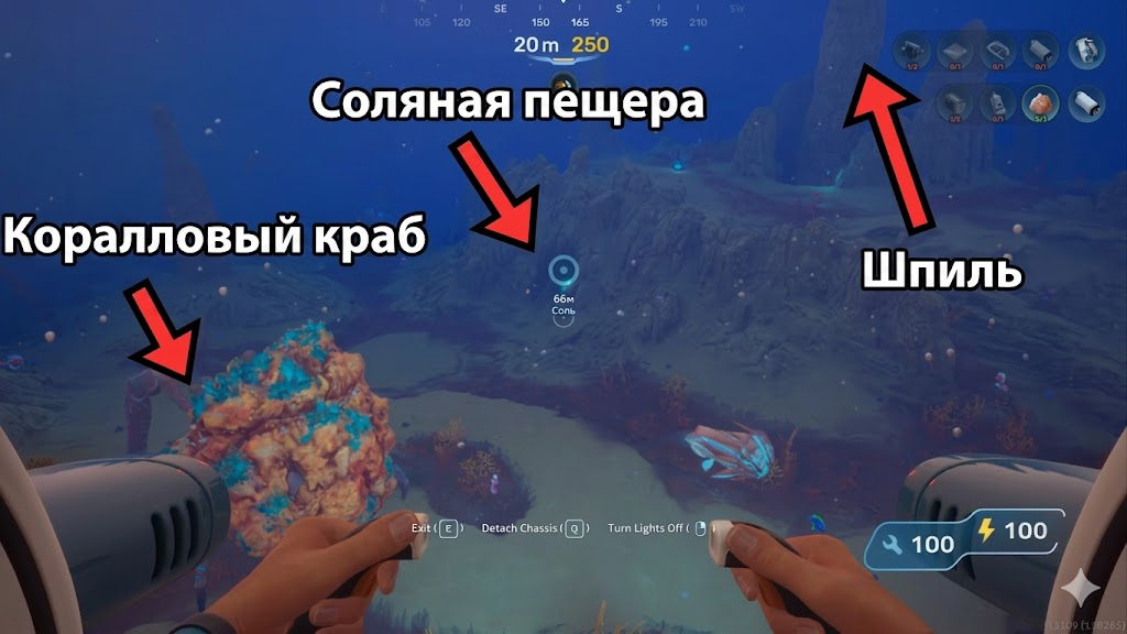 Листайте вправо, чтобы увидеть больше изображений