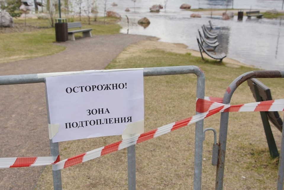   ИВАНОВА Диана