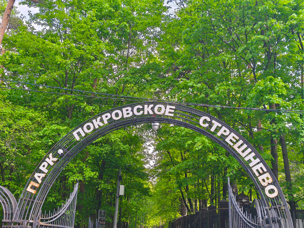 Парк возле клиники