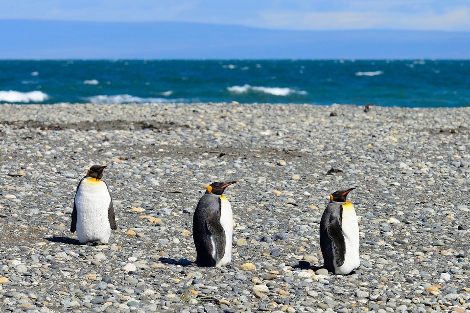    Фото: imageBROKER.com/Shutterstock/Fotodom