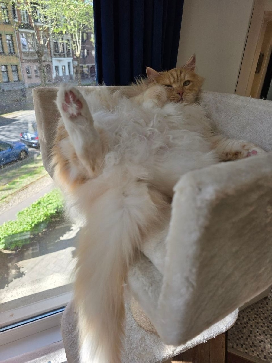 -2