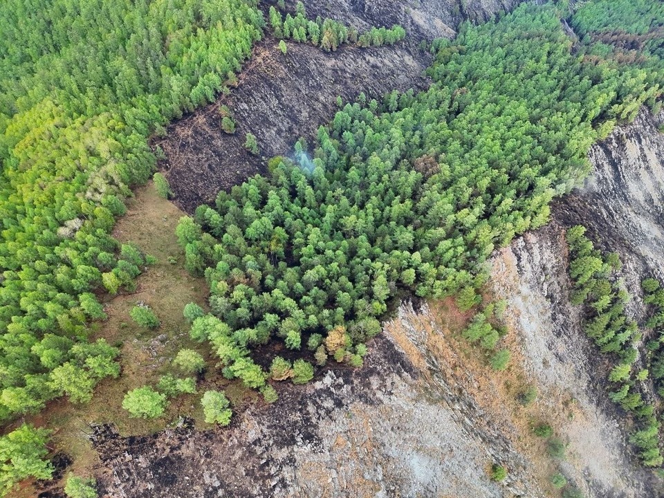    Фото: Лесопожарный центр Красноярского края