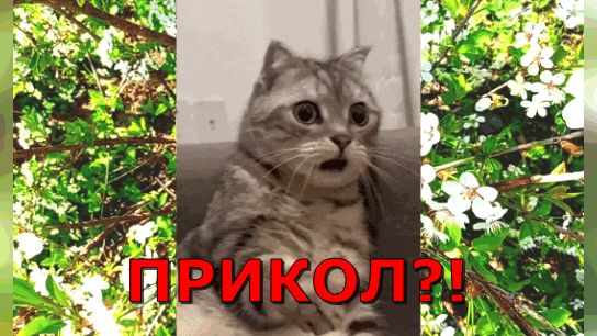 -11