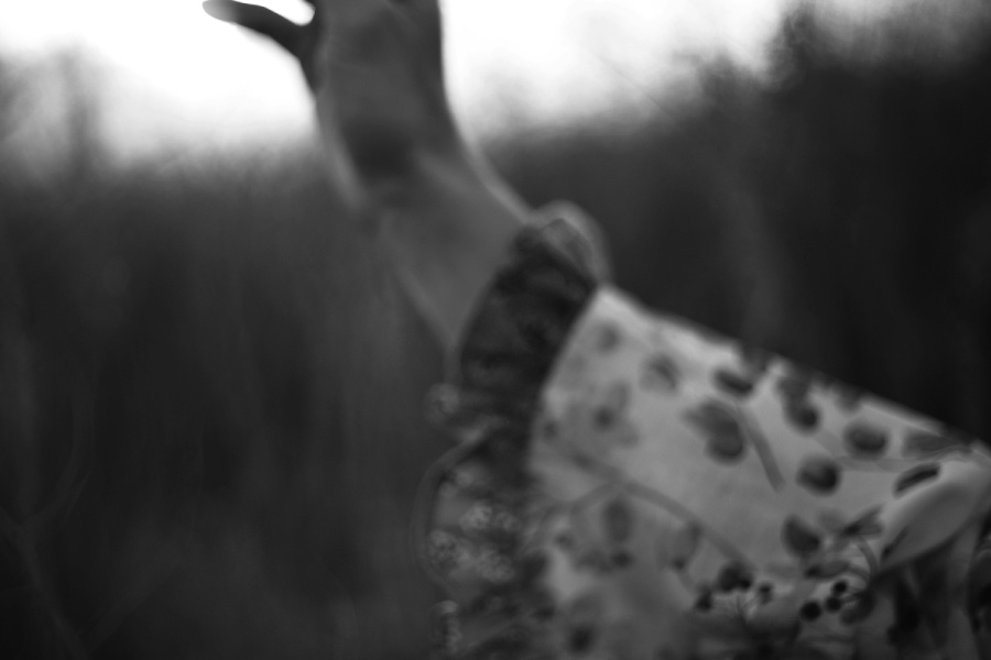 Фото: Liana S / Unsplash.com