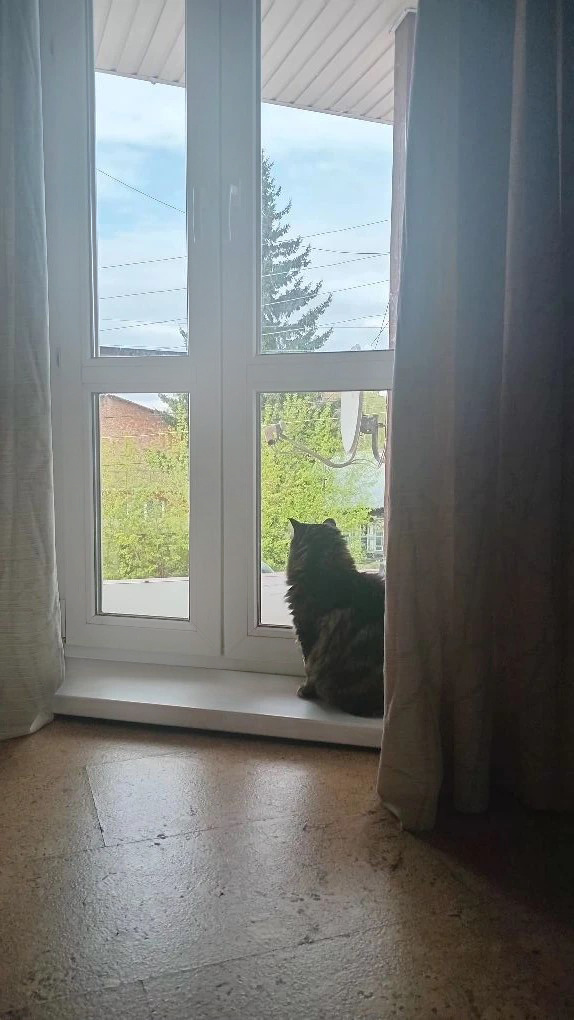 Матильда