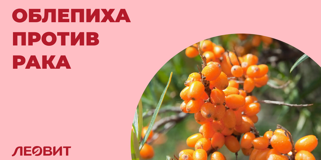 Противоопухолевые и другие лекарственные свойства облепихи
