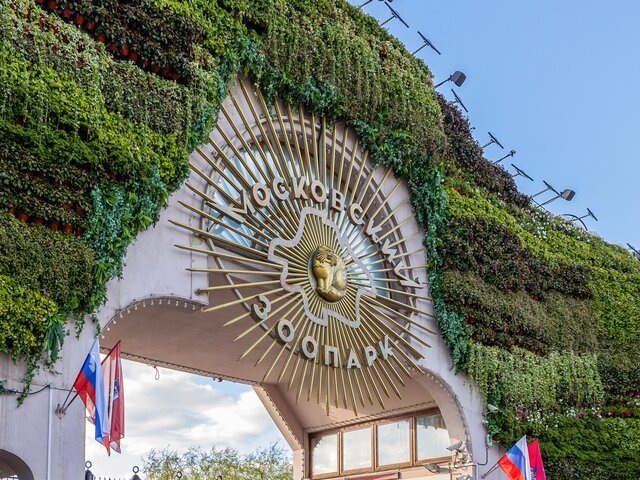    Фото: портал мэра и правительства Москвы/Игорь Захаров