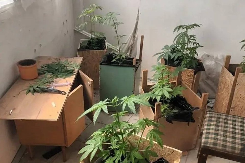    Полицейские Новой Каховки пресекли факт незаконного оборота наркотиков. Фото: ГУ МВД России по Херсонской области