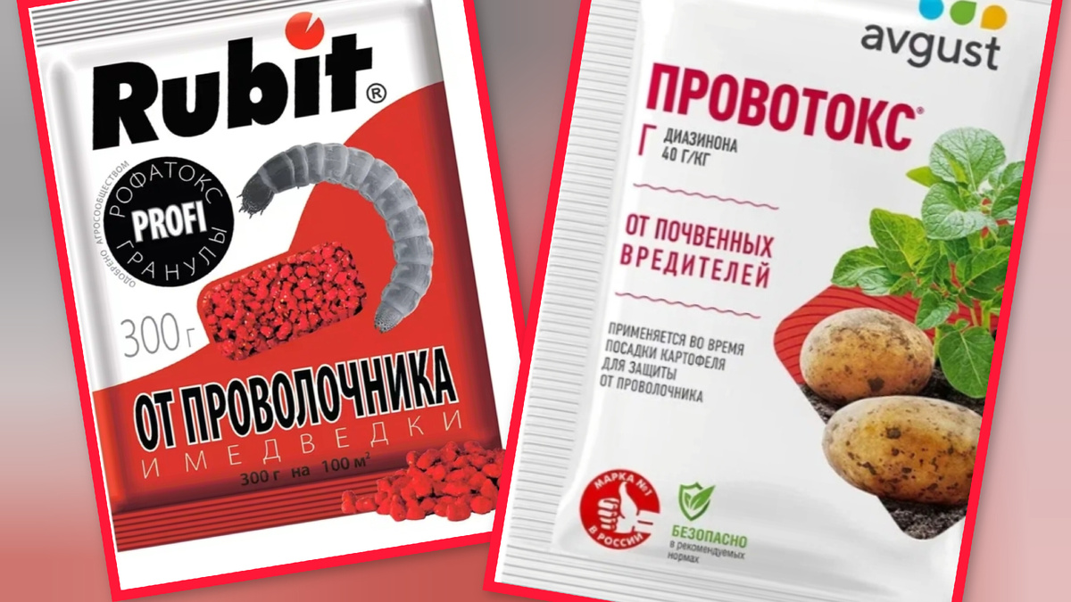 Фотоколлаж автора статьи 