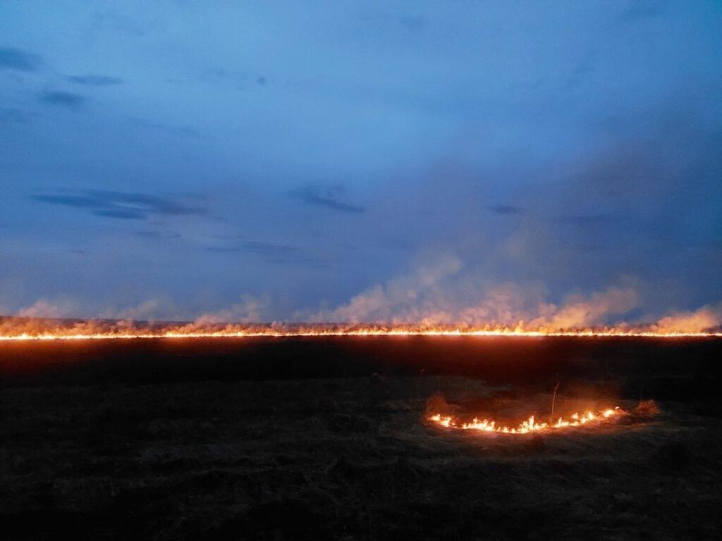 Фото: Олеся Волкова / предоставлено Обществом добровольных лесных пожарных