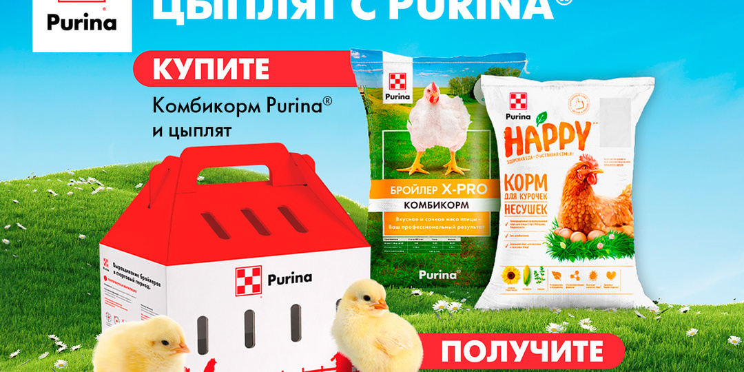 Акция «Дни вывода цыплят»
