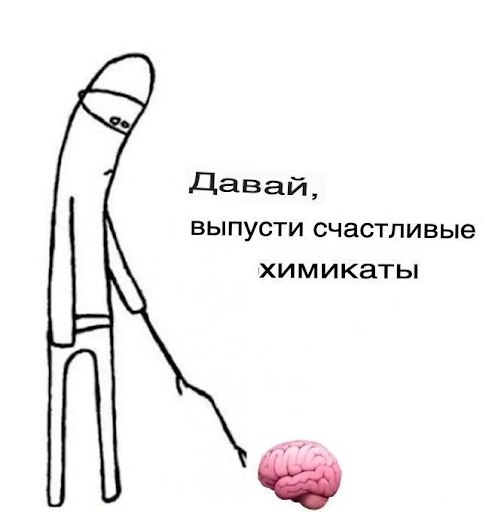 Спорт, мозг и депрессия: инструкция для тех, у кого нет сил