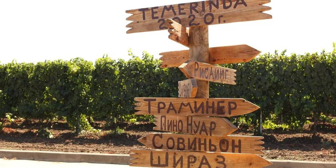 Тур «Микровиноделы»: винодельня «Темеринда»