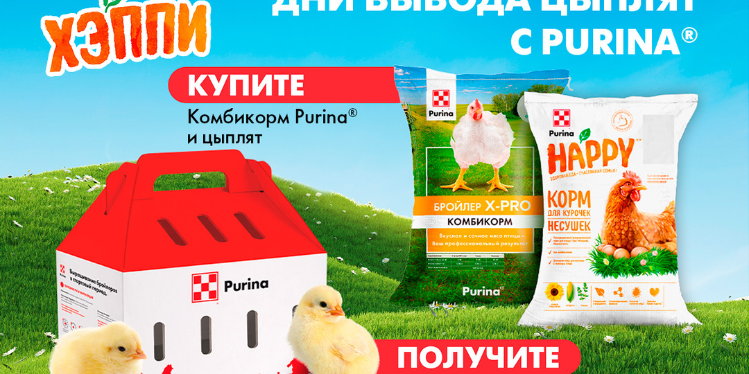 Акция «Дни вывода цыплят»