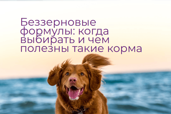 Беззерновых и низкозерновые корма для собак