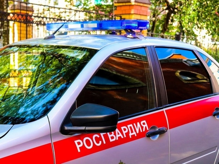     Фото Управления Росгвардии по Республике Марий Эл
