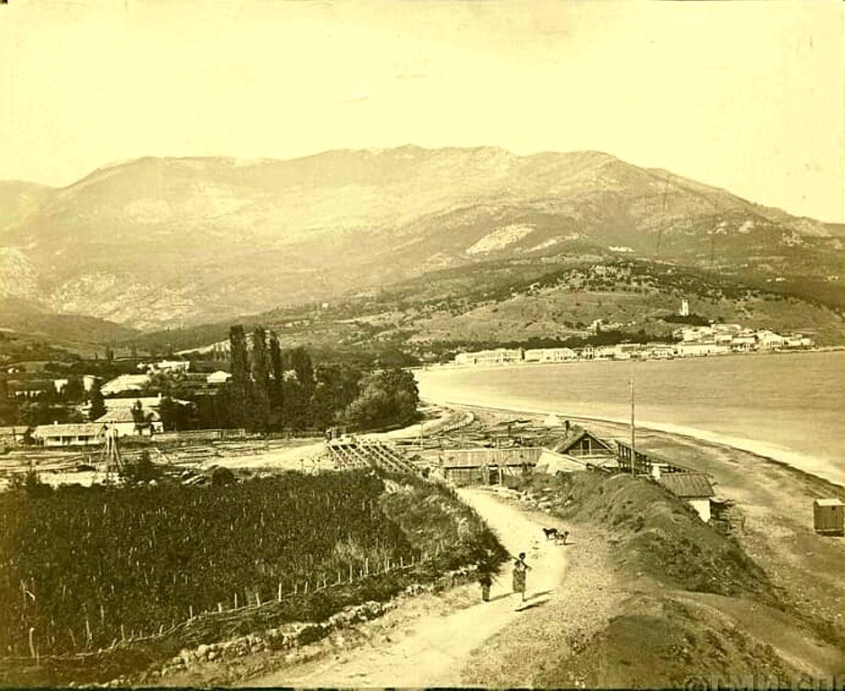Виноградники на месте будущей гостиницы, 1866 г.