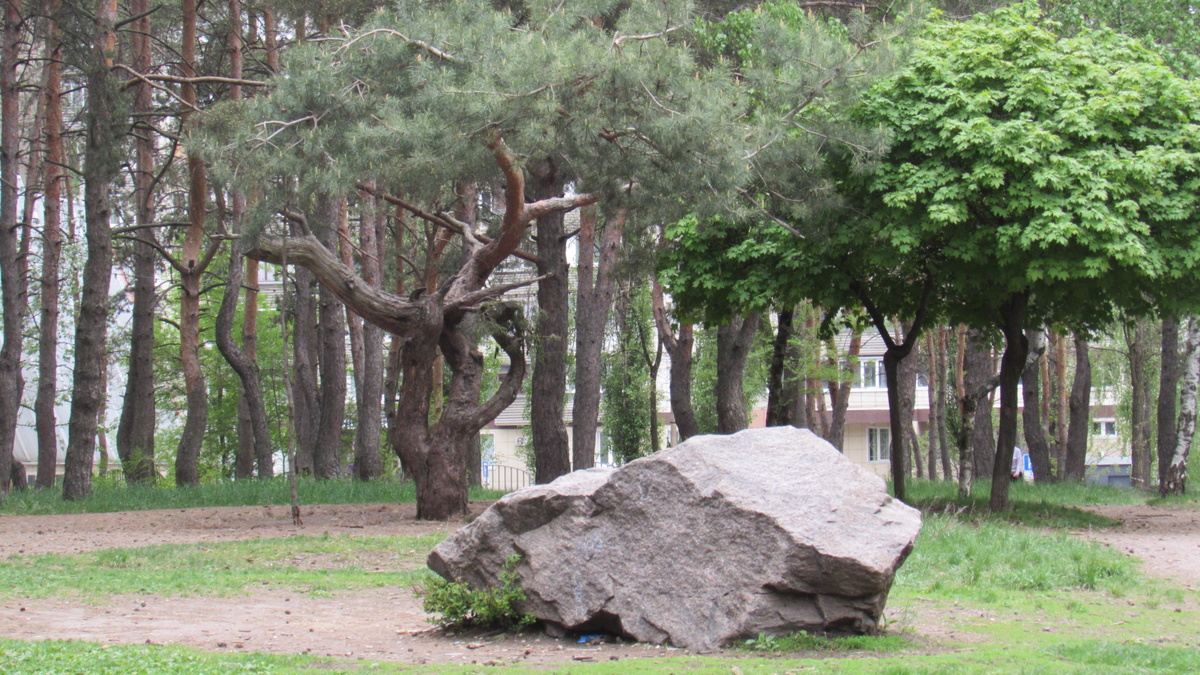 В парке Танаис.