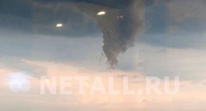    netall.ru